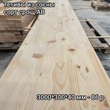 тетива сосна