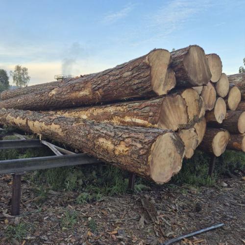 Доска и брус сухой, строганный из сосны - /files/catalogproducts/24-сосна 3 1 к 1 (2).jpg