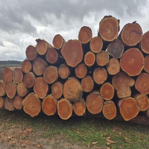 Брус и доска естественной влажности из лиственницы - /files/catalogproducts/289-лес 4.jpg