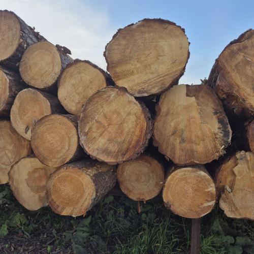 Доска и брус естественной влажности из сосны - /files/catalogproducts/291-сосна 2 1 к 1 (3).jpg