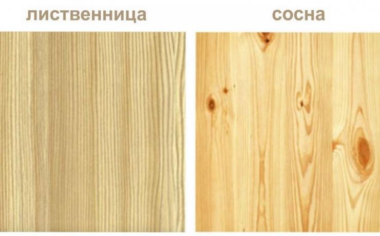 Лиственница или сосна, сухая или естественной влажности? Выбираем пиломатериалы